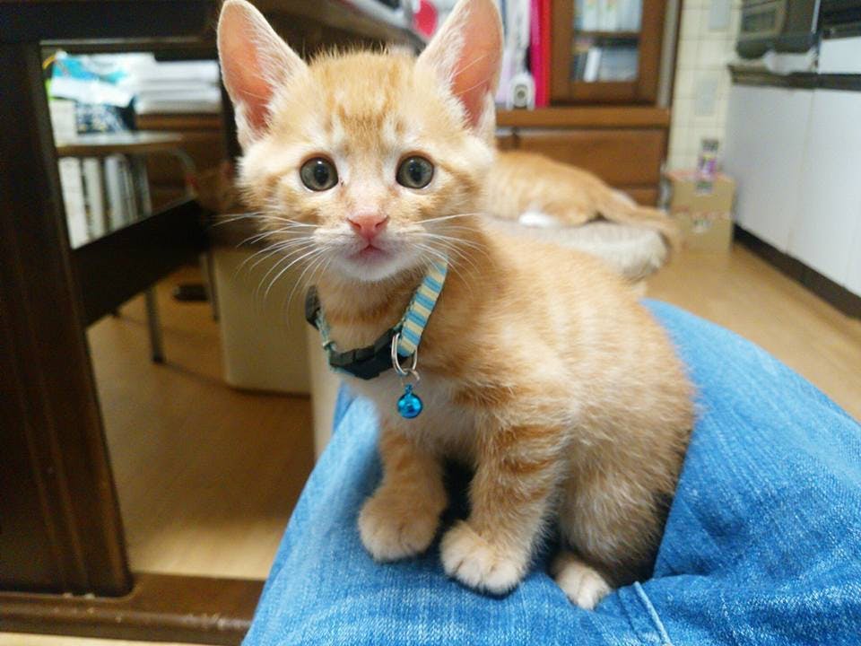 4番目のメイン画像