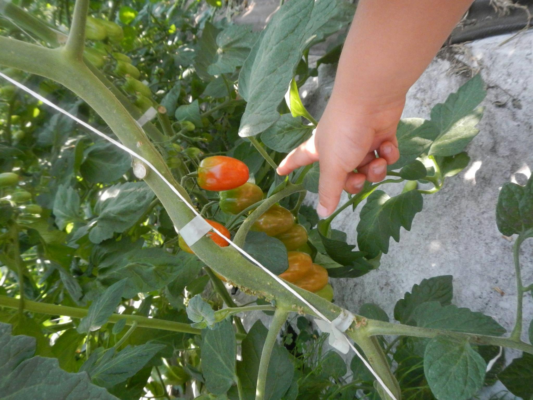 4番目のメイン画像