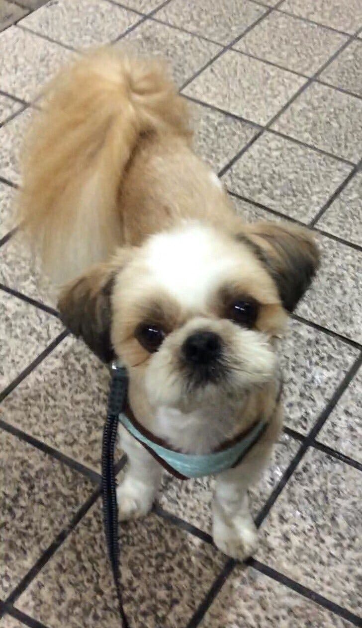 4番目のメイン画像