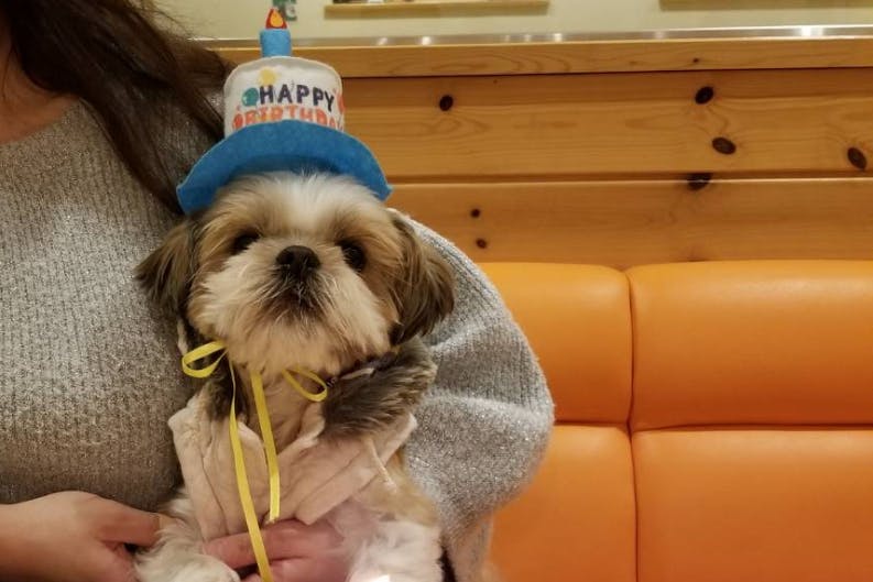 1番目のメイン画像