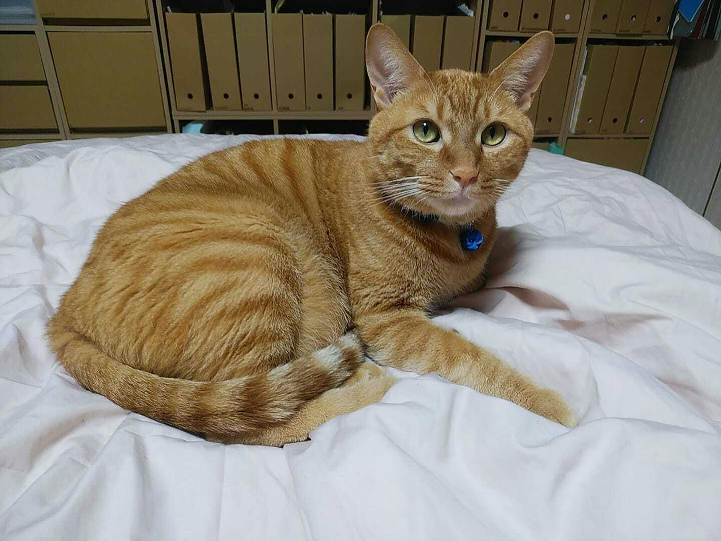 3番目のメイン画像