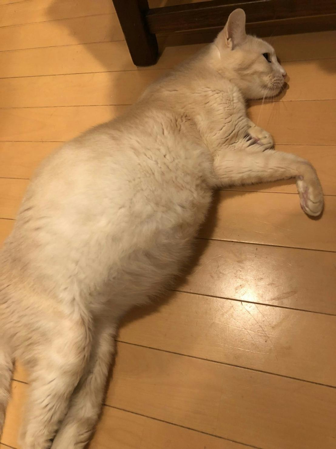 5番目のメイン画像