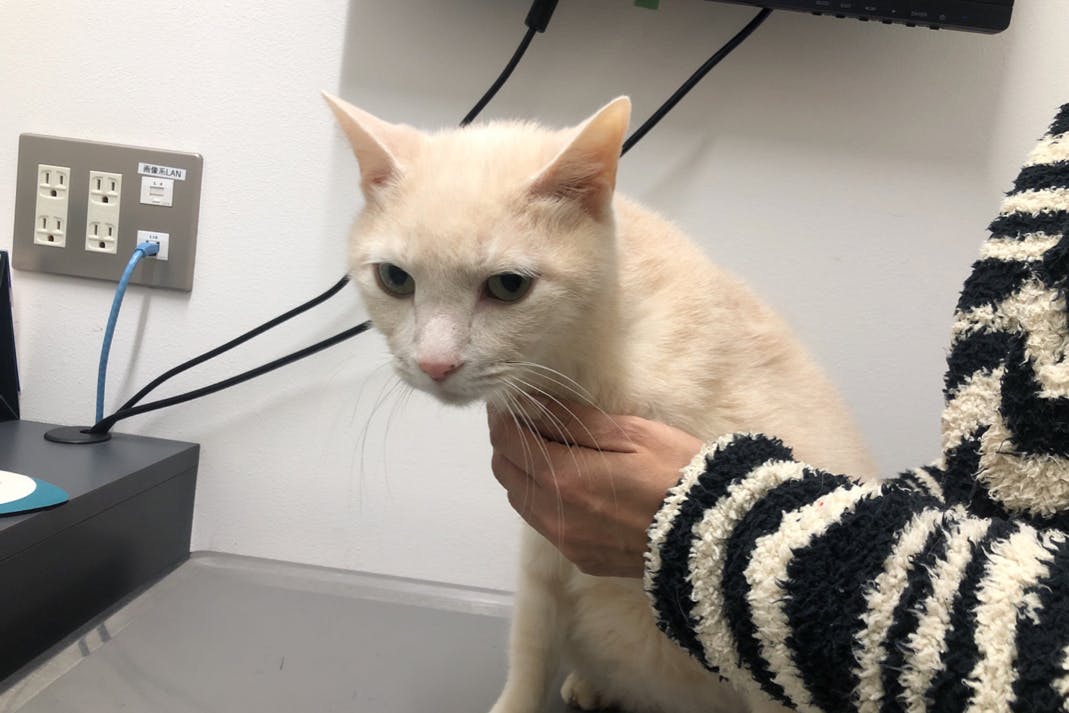 1番目のメイン画像