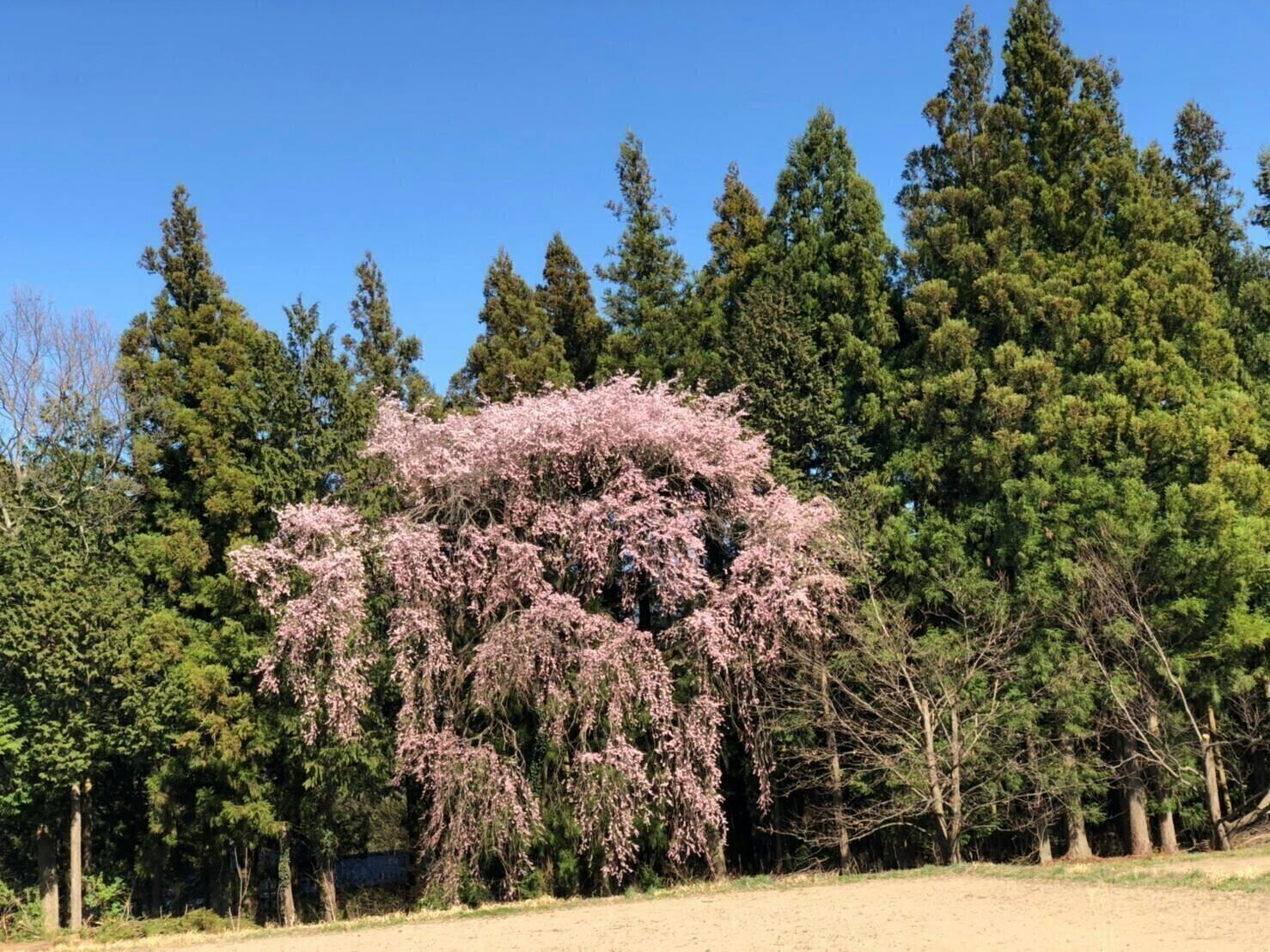 5番目のメイン画像