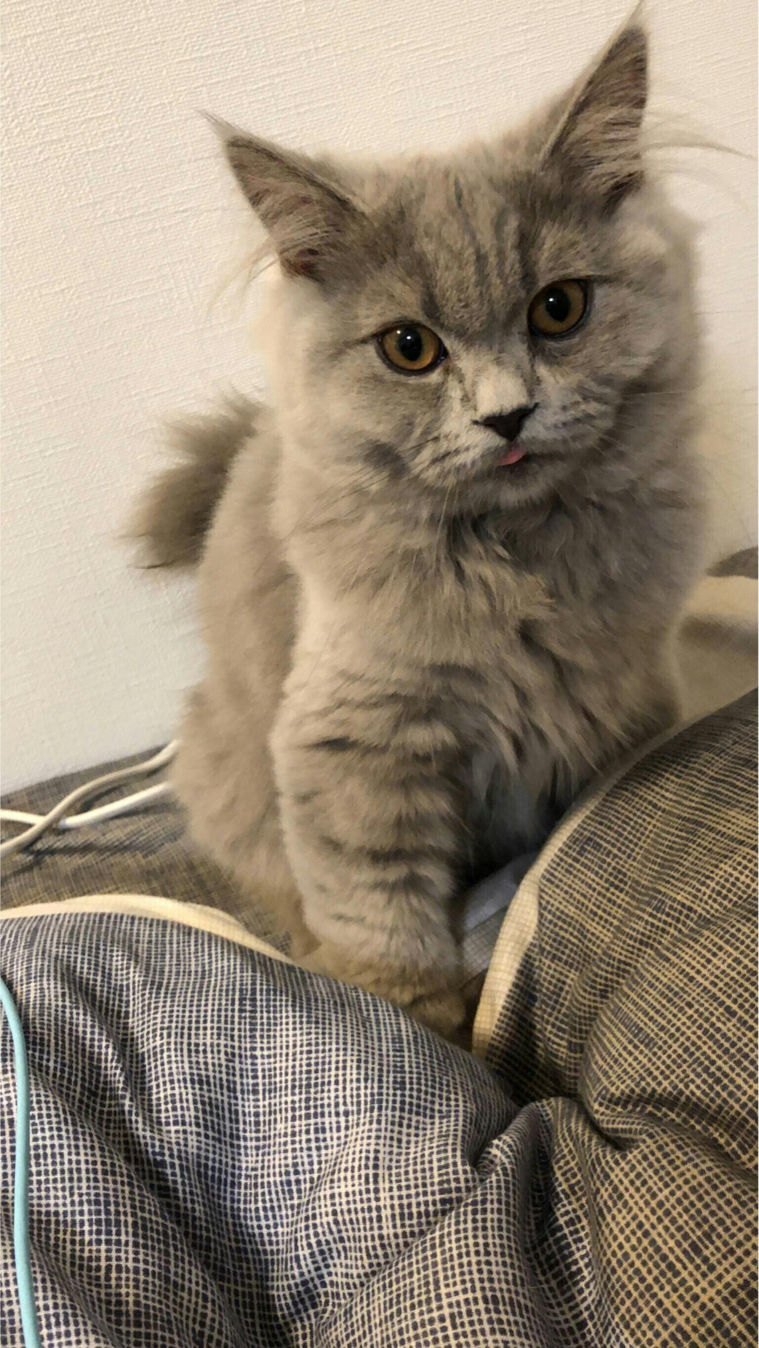 3番目のメイン画像