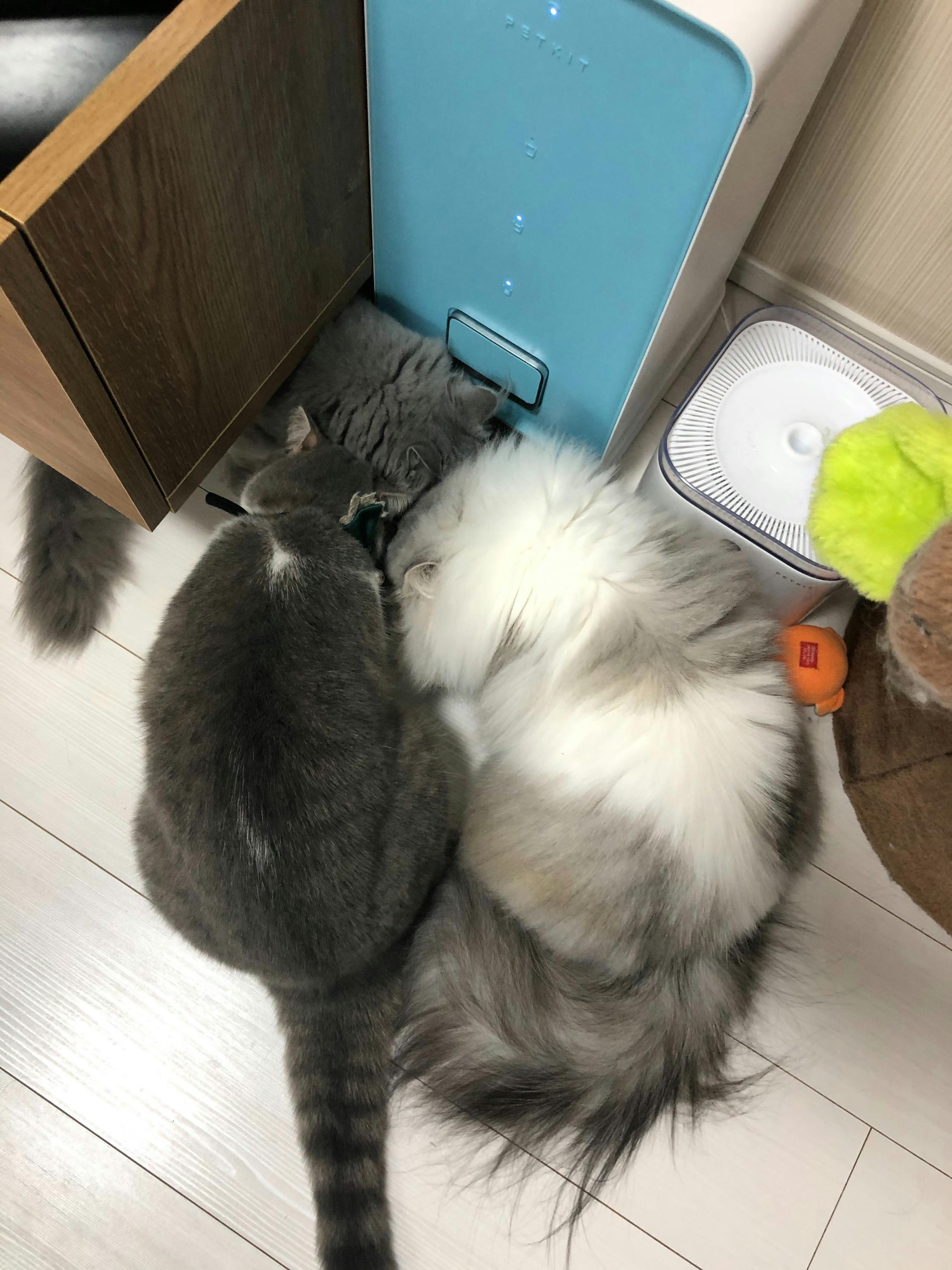 5番目のメイン画像