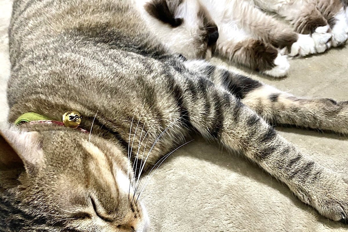 4番目のメイン画像