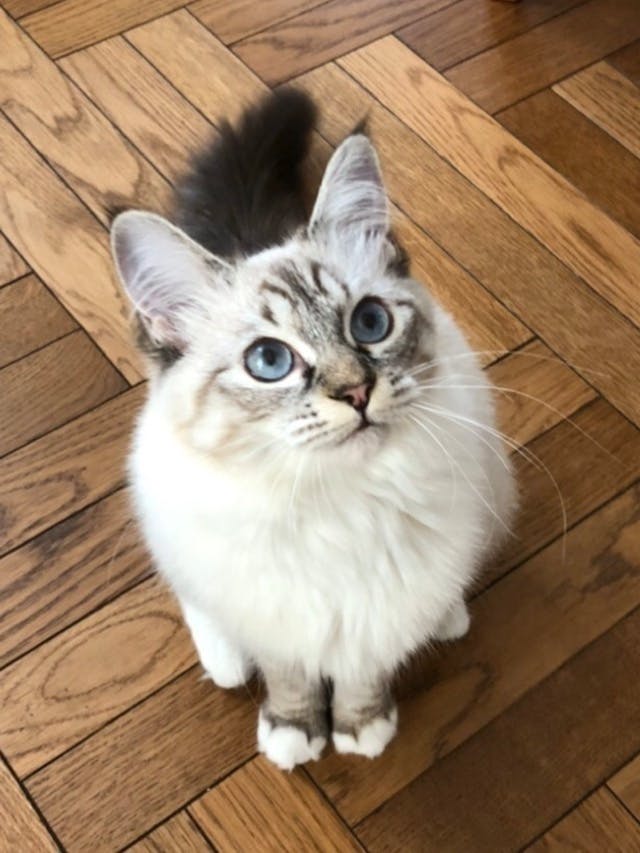 3番目のメイン画像