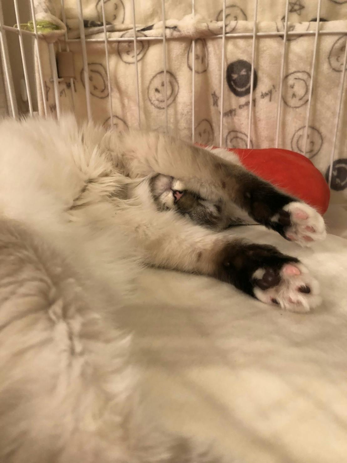 5番目のメイン画像