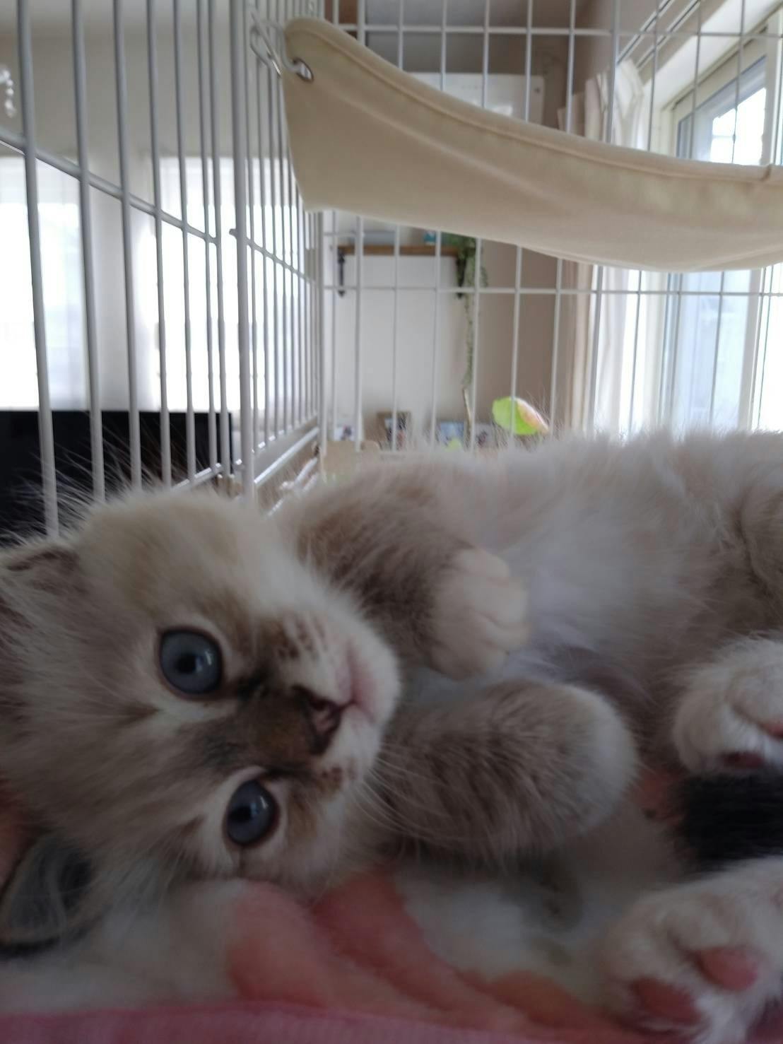 2番目のメイン画像