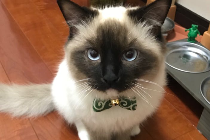 1番目のメイン画像