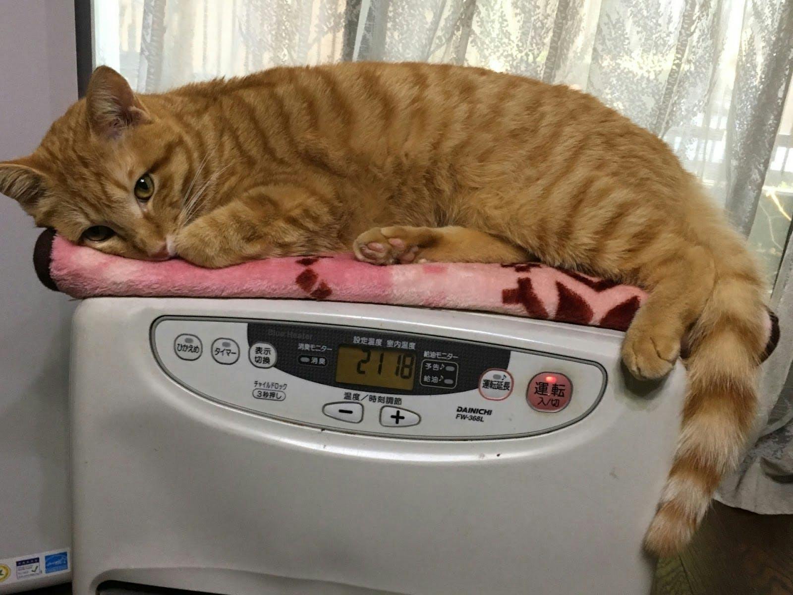 5番目のメイン画像