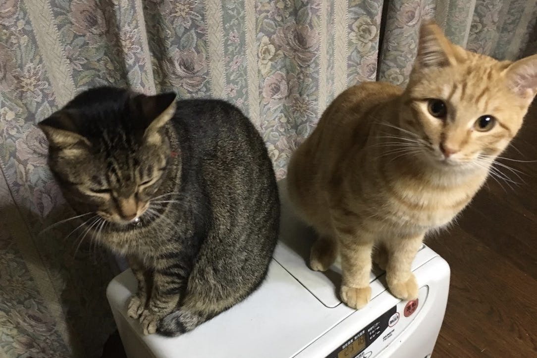 2番目のメイン画像