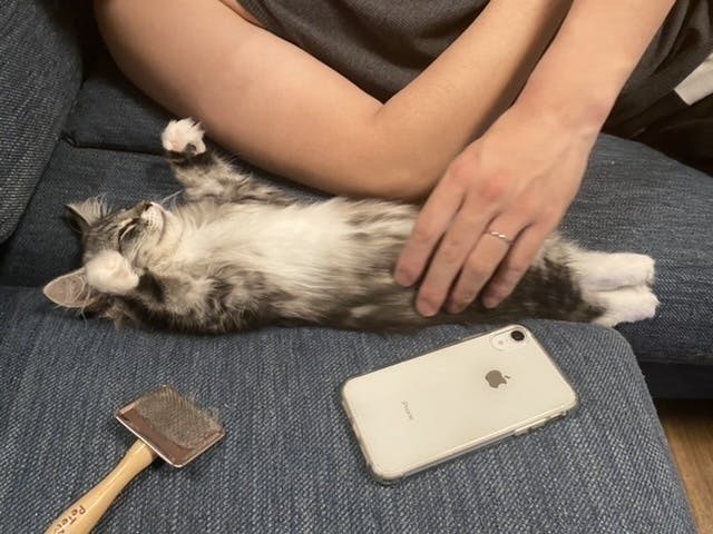 2番目のメイン画像