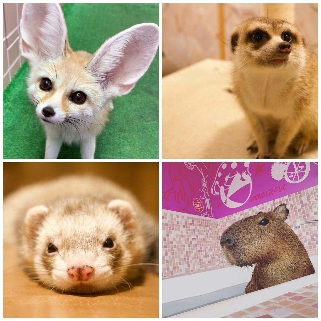 4番目のメイン画像