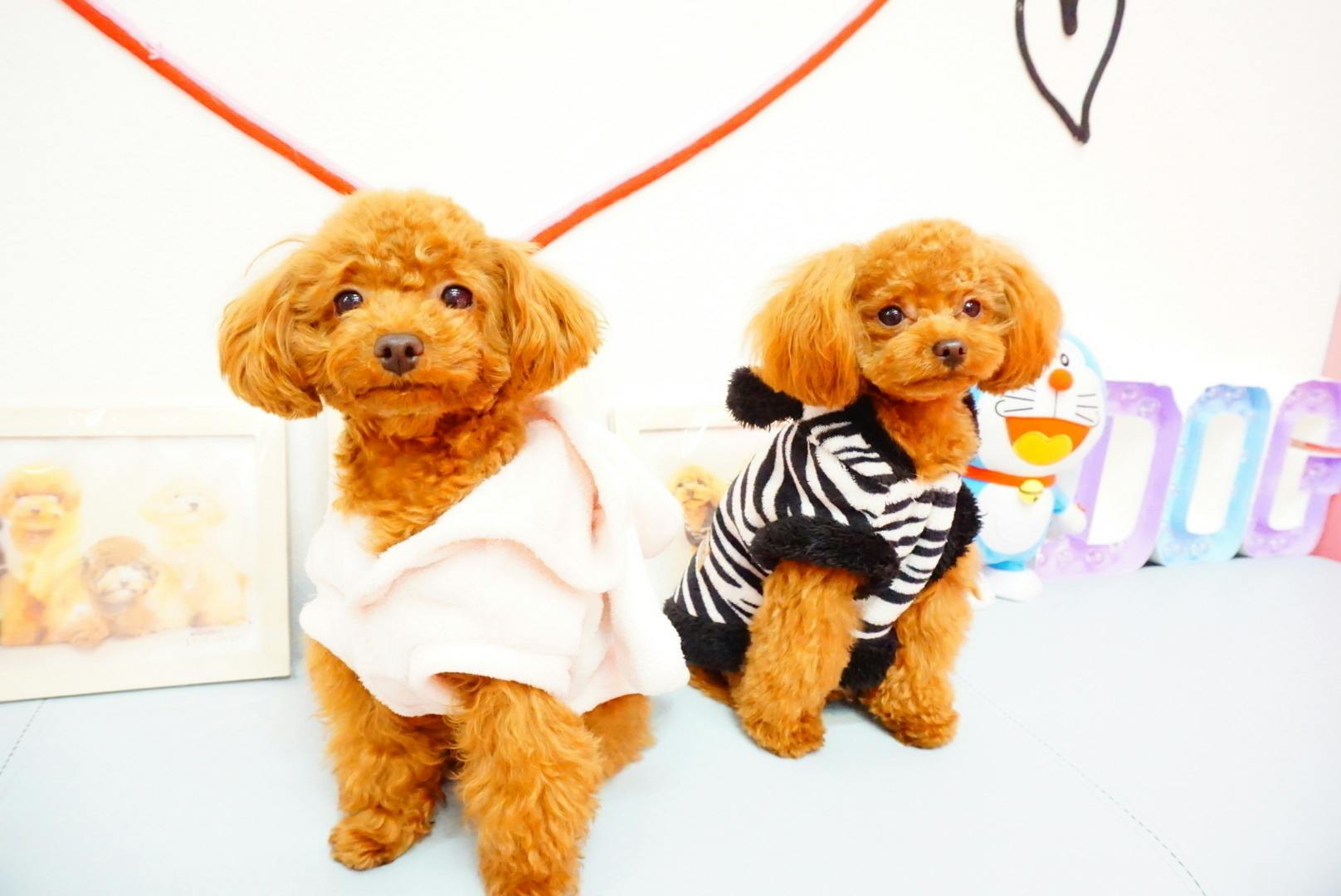 5番目のメイン画像