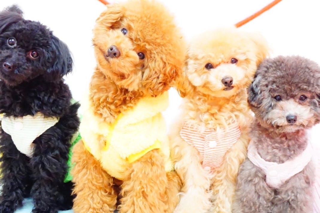 1番目のメイン画像