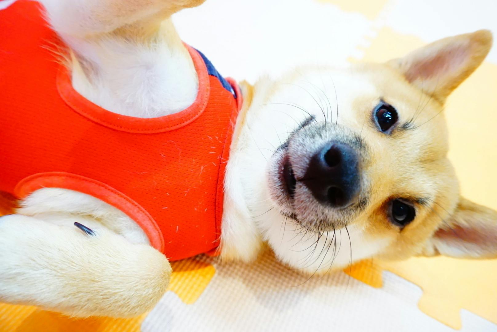 4番目のメイン画像