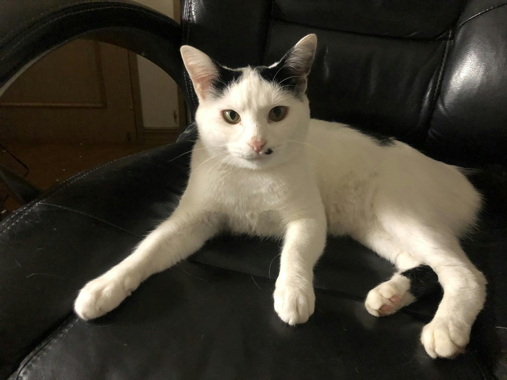 3番目のメイン画像