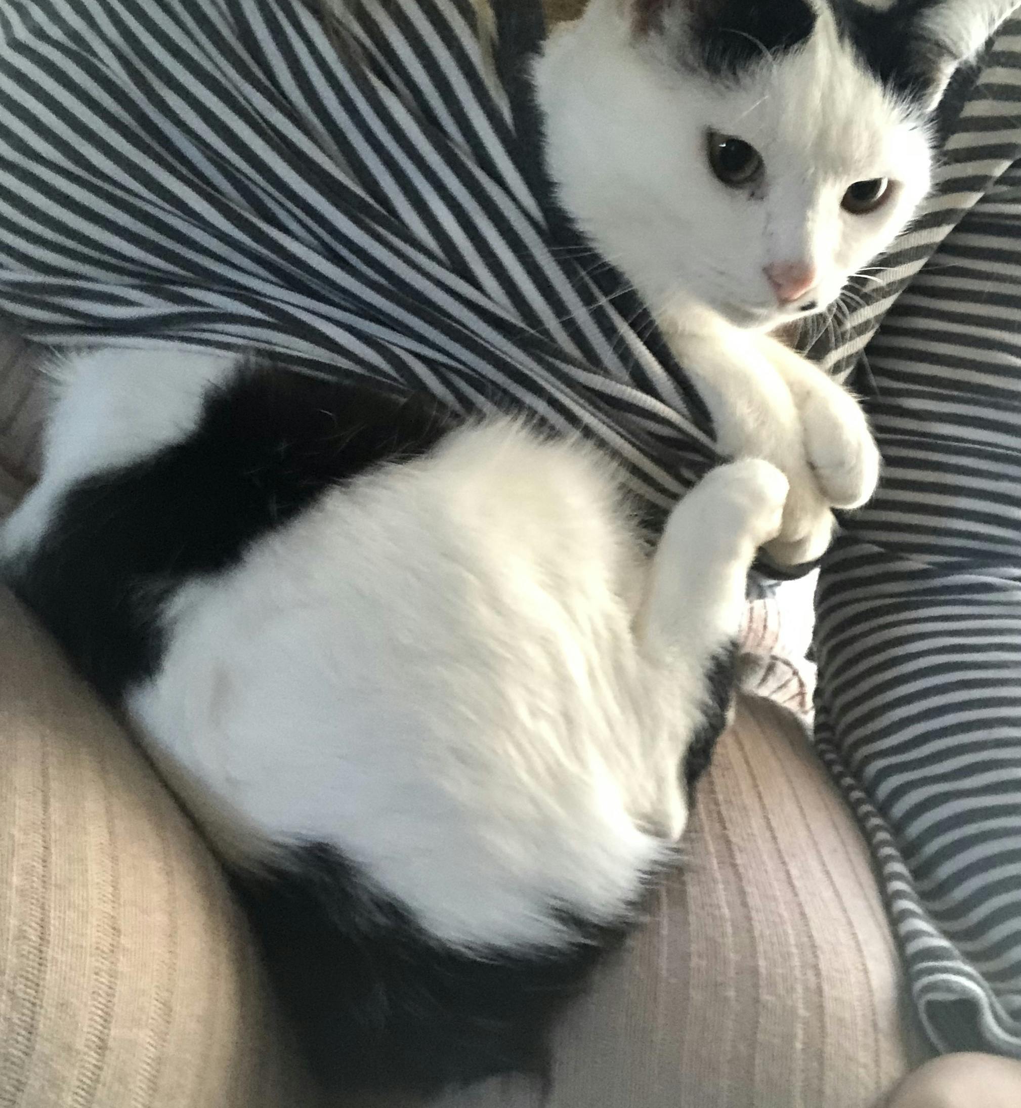 5番目のメイン画像