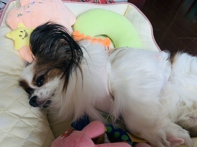 4番目のメイン画像