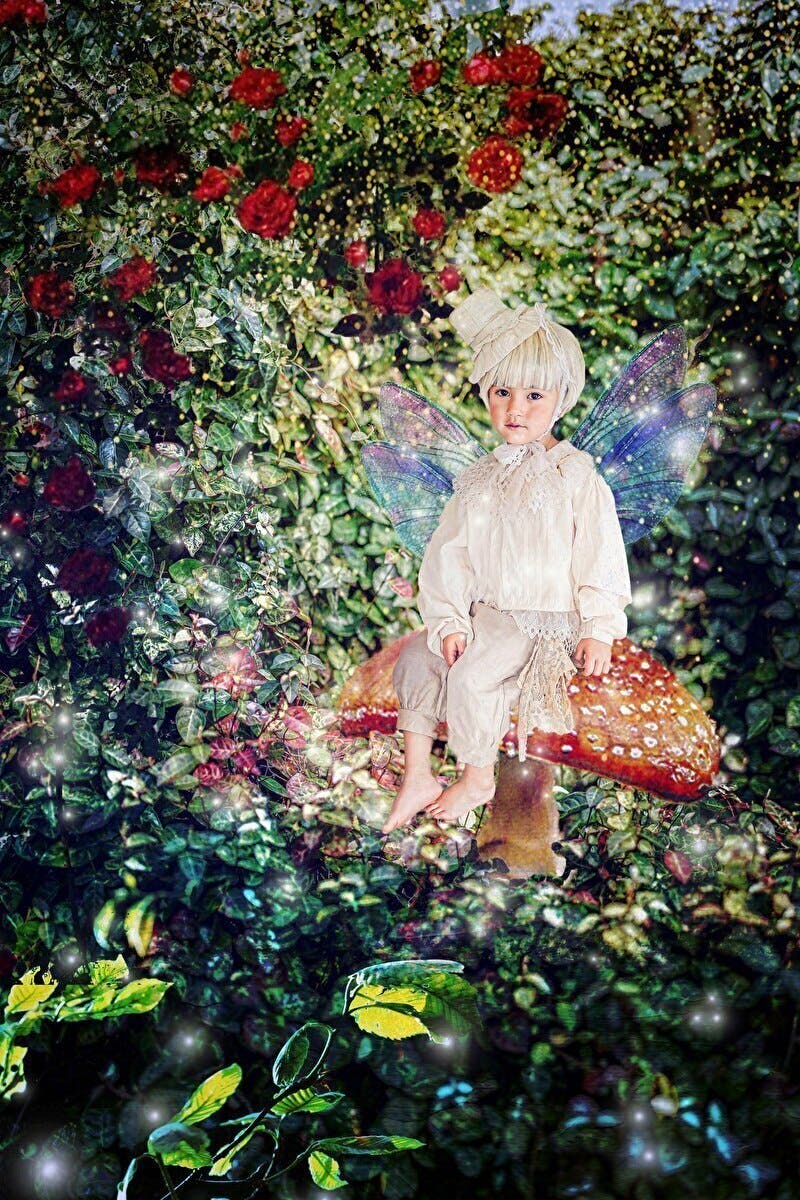 3番目のメイン画像