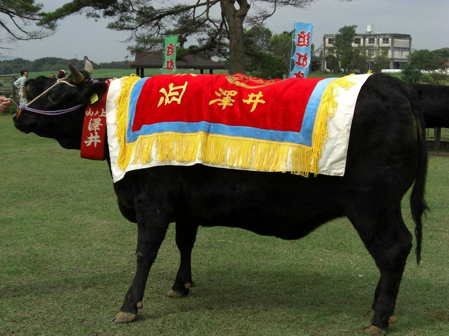 5番目のメイン画像