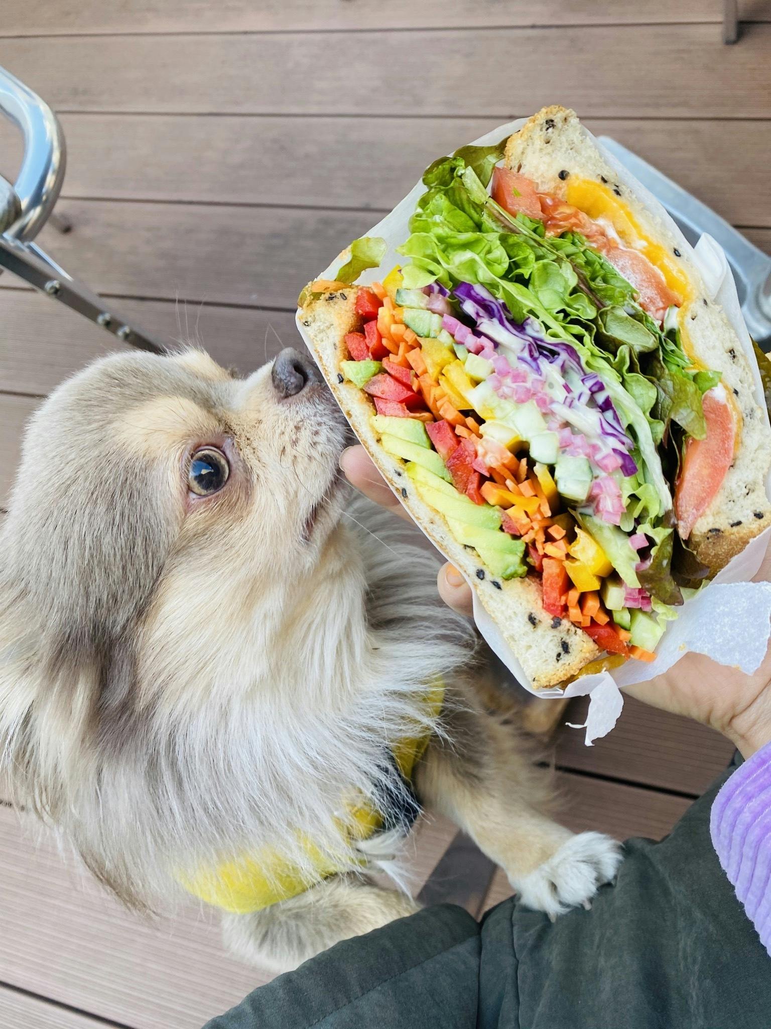 2番目のメイン画像