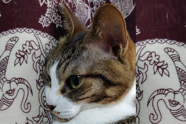 1番目のメイン画像