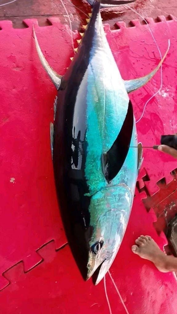 5番目のメイン画像