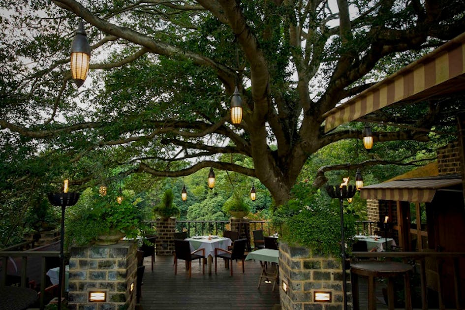 これまでの感謝と未来の笑顔のために　ラ・テラス共通『20%OFFチケット』販売