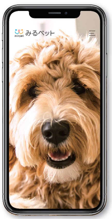 2番目のメイン画像