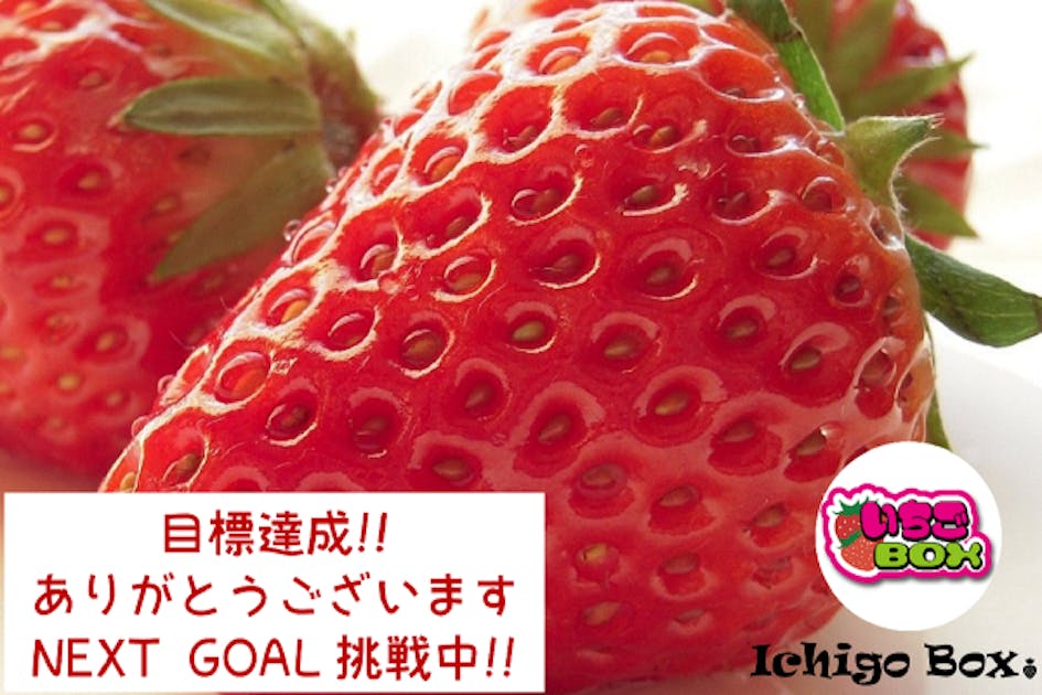 コロナに負けるか！！売上激減のいちご農園を救って！！ - CAMPFIRE