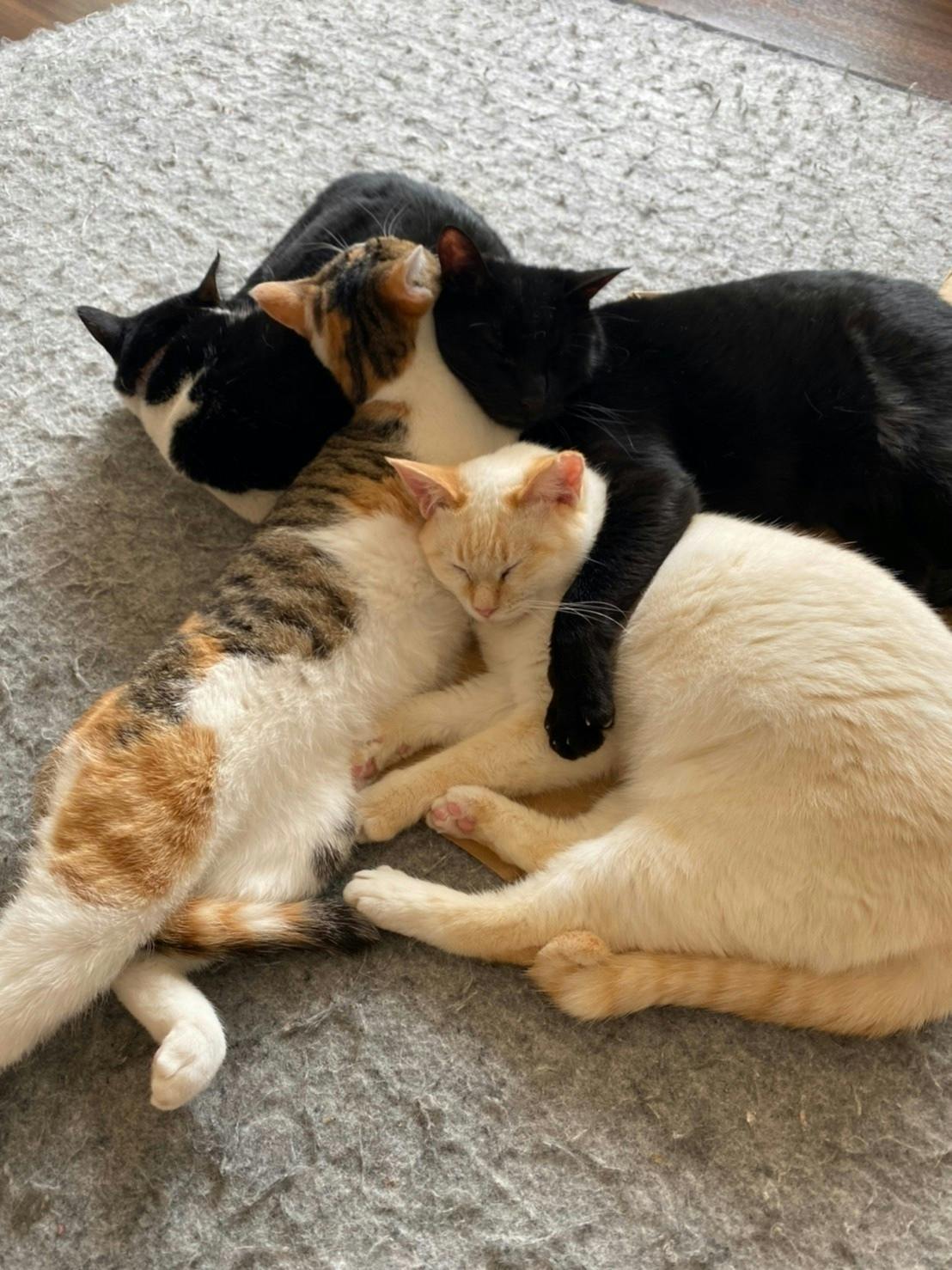 4番目のメイン画像