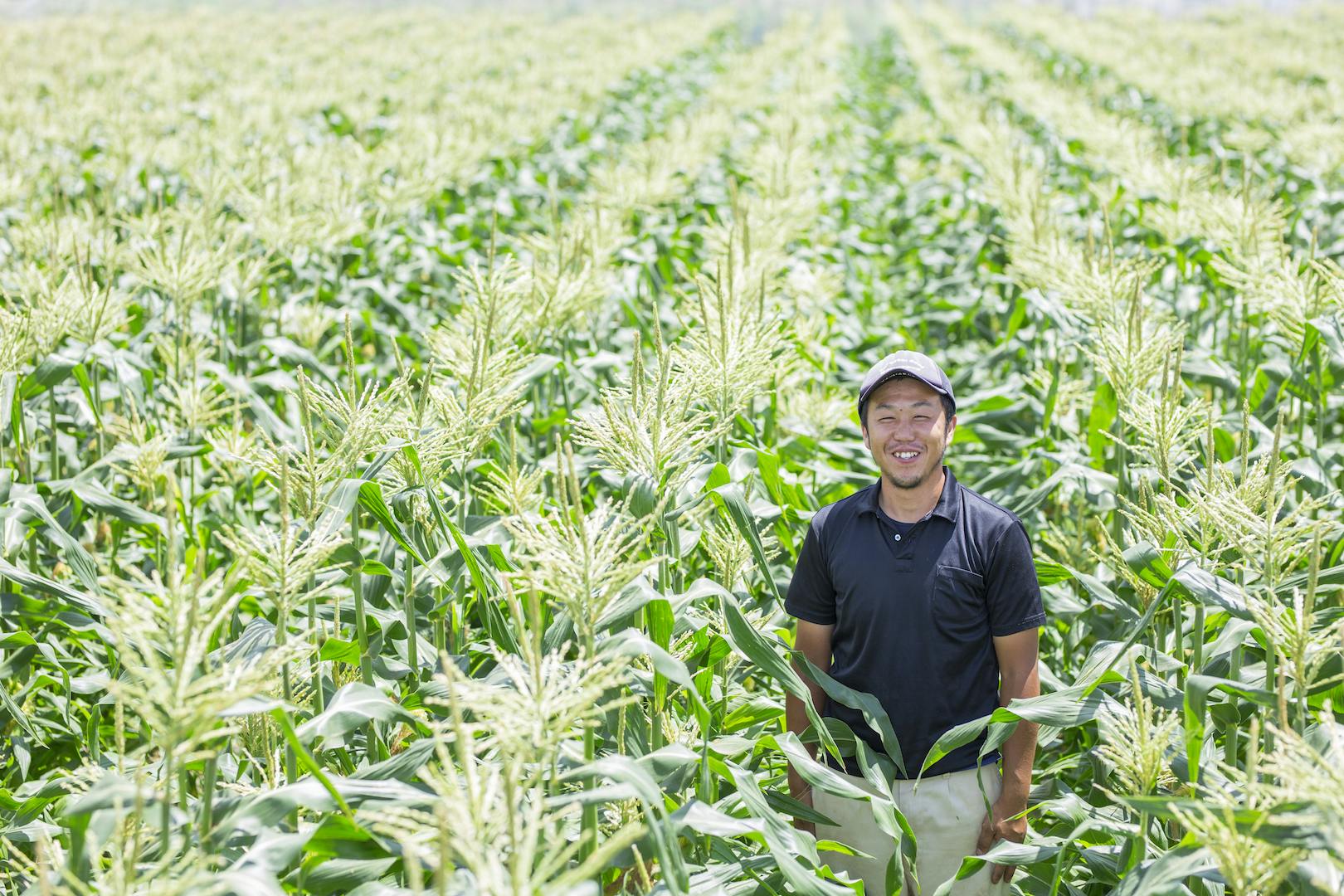 3番目のメイン画像