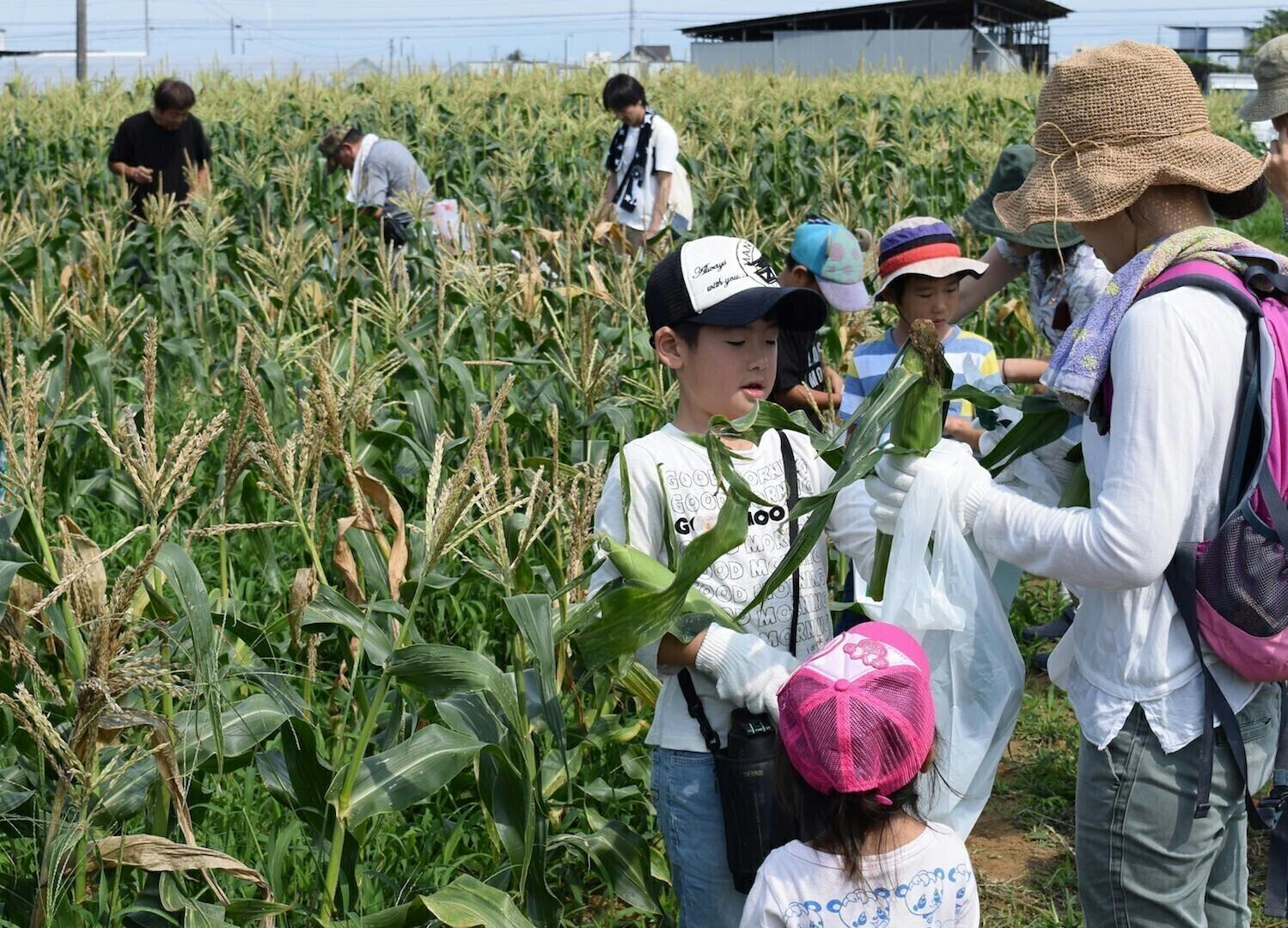 2番目のメイン画像