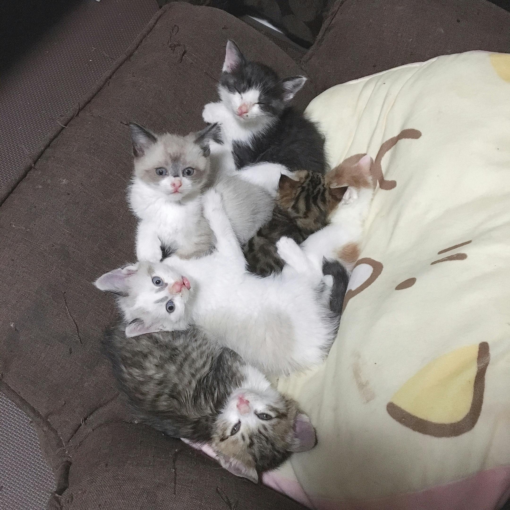 5番目のメイン画像