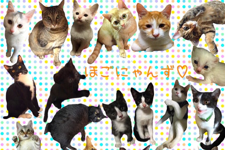 1番目のメイン画像