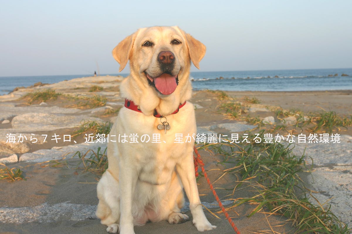 2番目のメイン画像