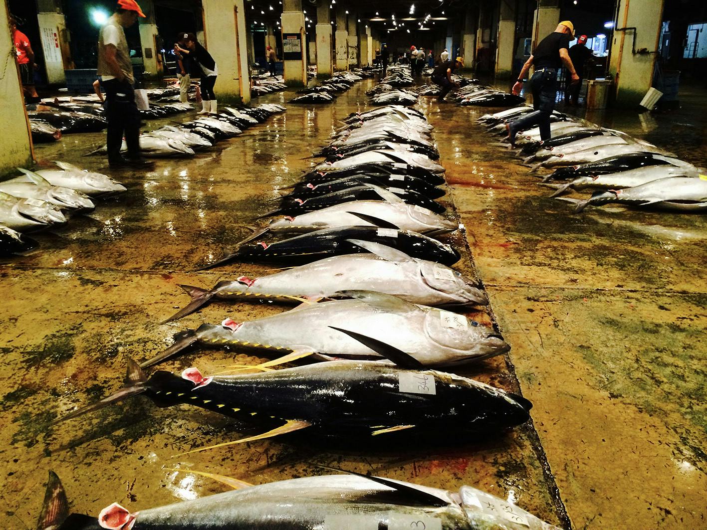 4番目のメイン画像