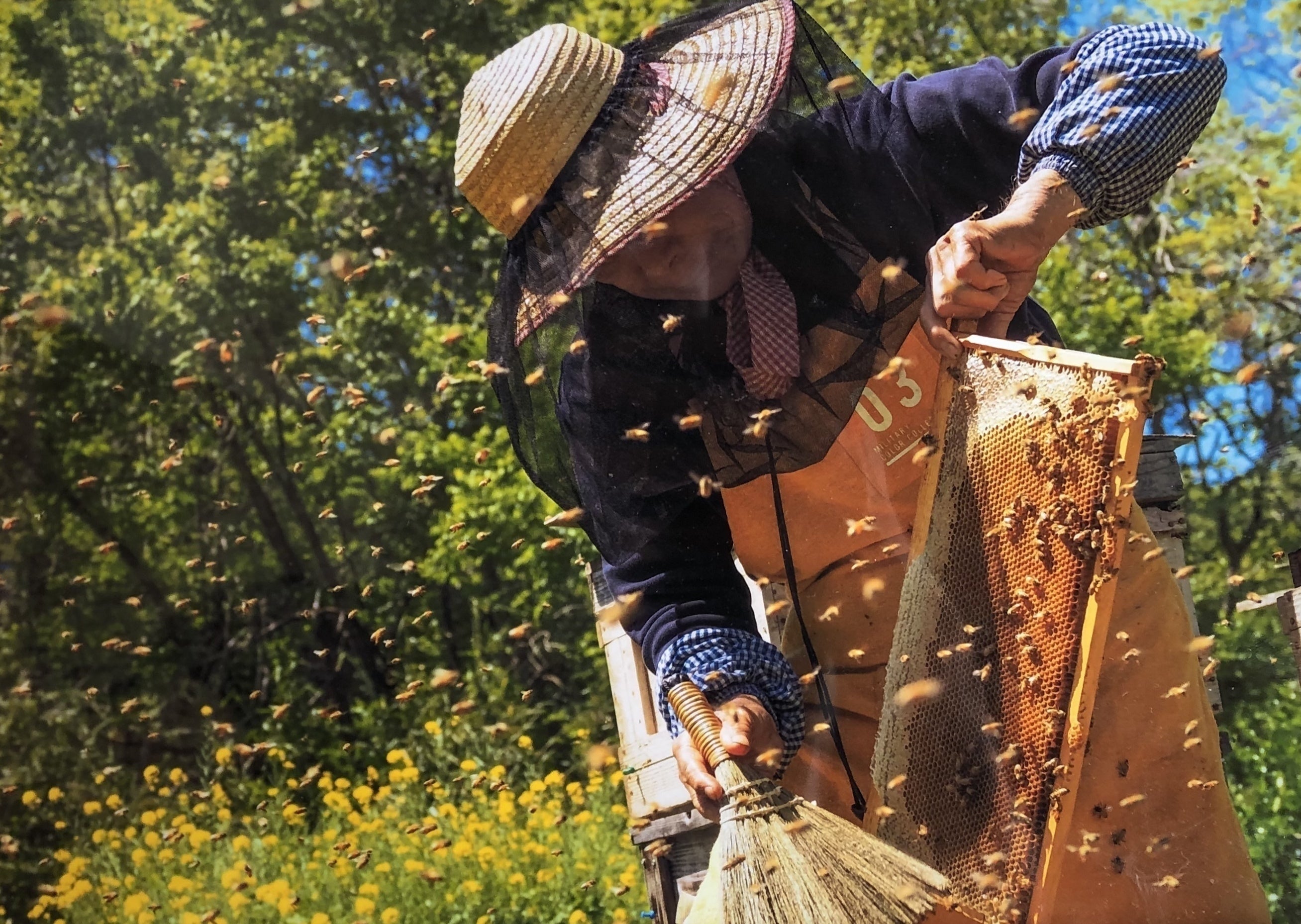 2番目のメイン画像