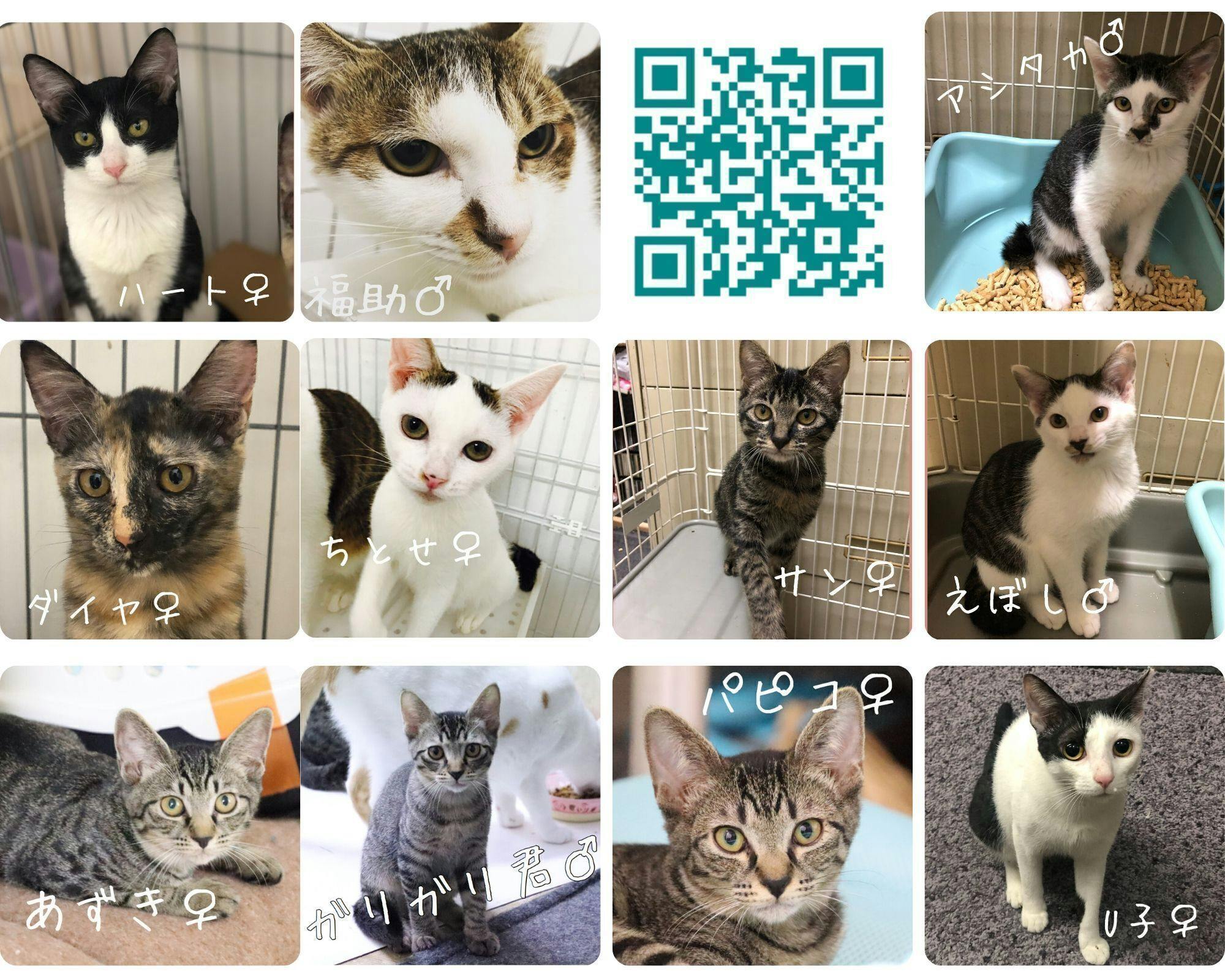 5番目のメイン画像