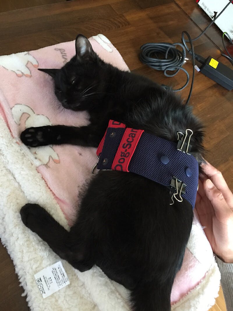 3番目のメイン画像