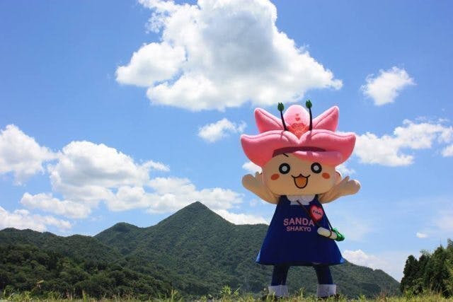 2番目のメイン画像