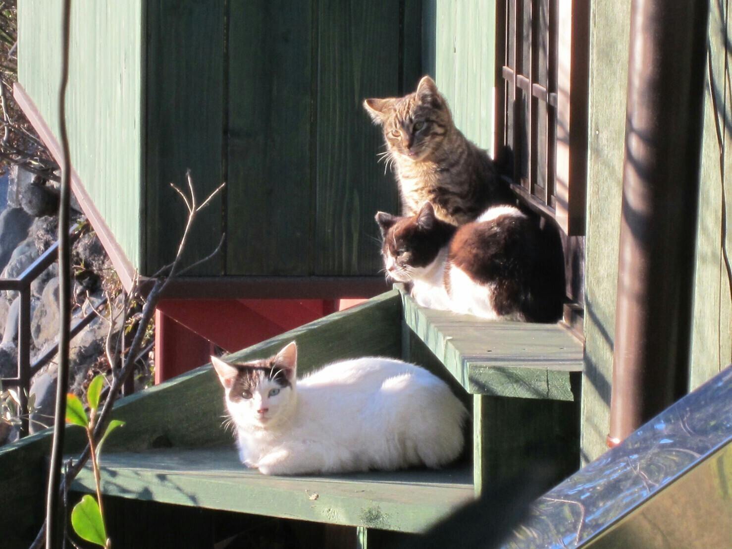 3番目のメイン画像