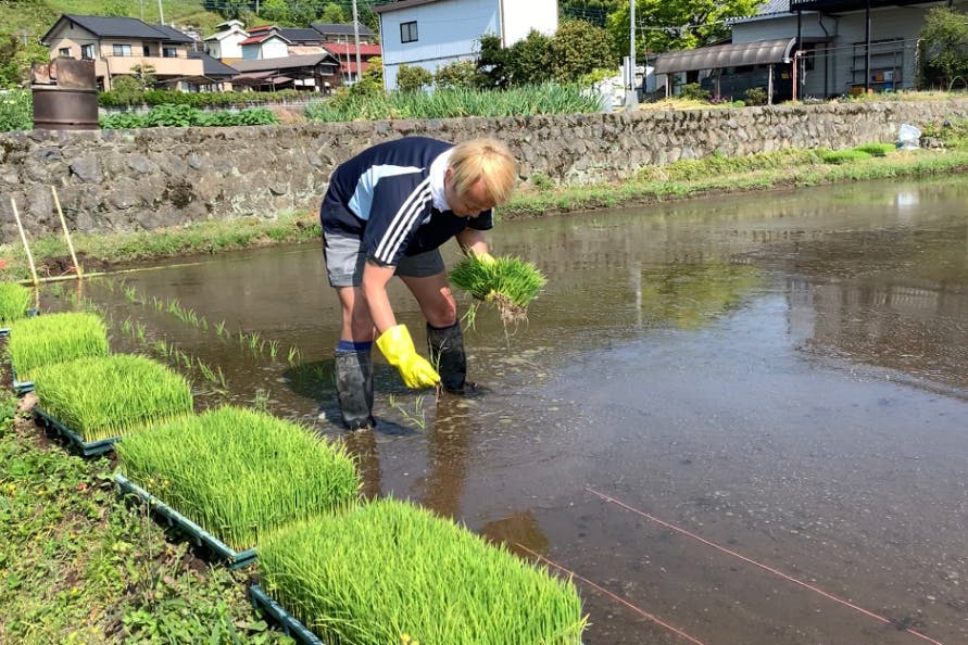 1番目のメイン画像