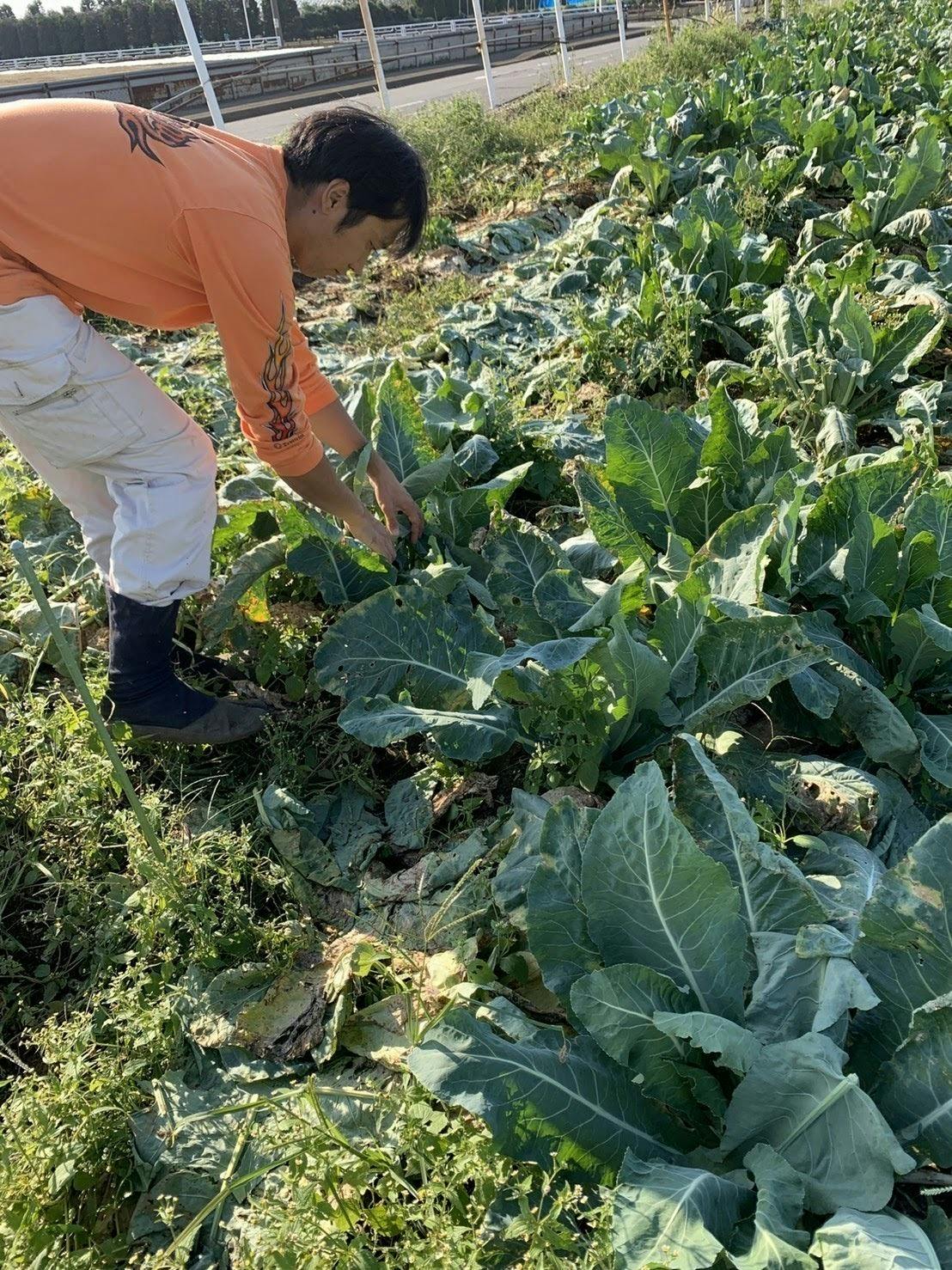 2番目のメイン画像