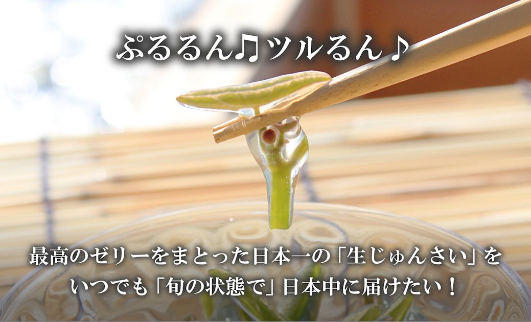 じゅんさい生産量日本一！生産者の誇りと価値を未来につなげる