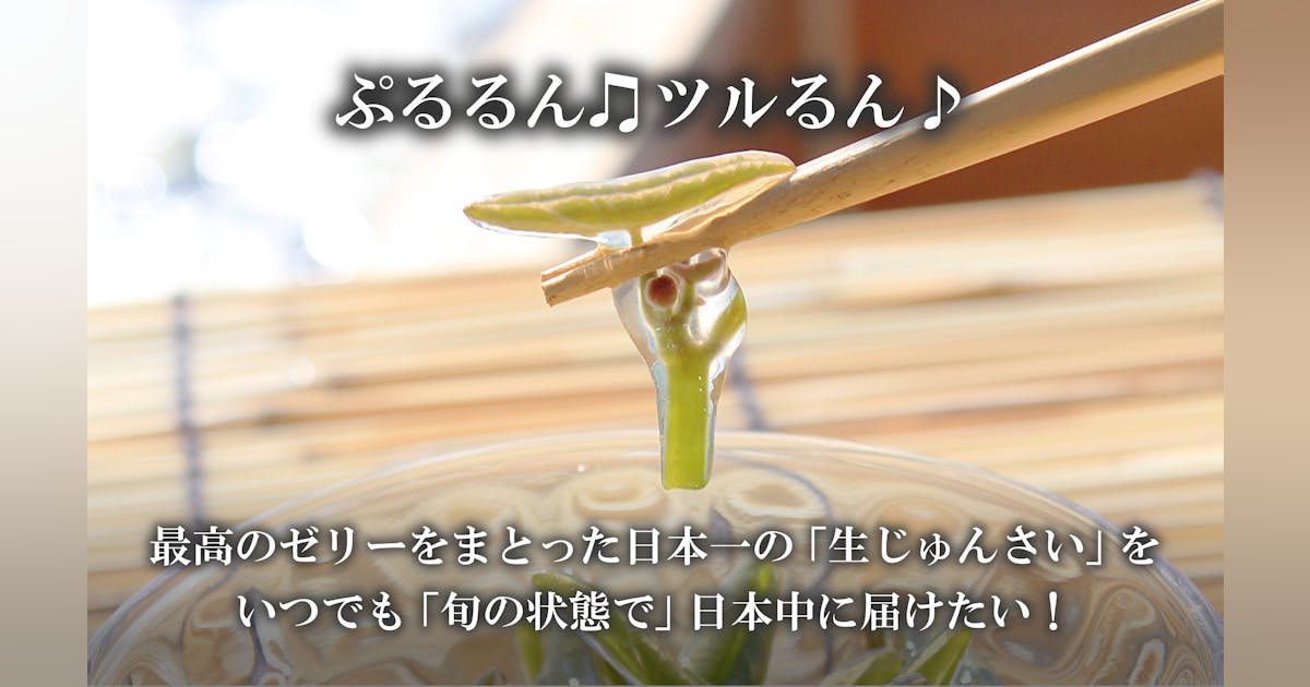 じゅんさい生産量日本一!生産者の誇りと価値を未来につなげる じゅんさい生産量日本一!生産者の誇りと価値を未来につなげる