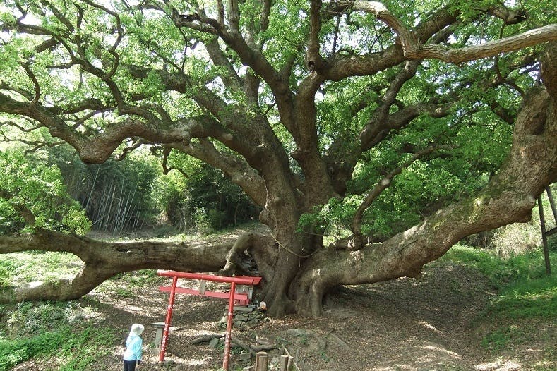 1番目のメイン画像